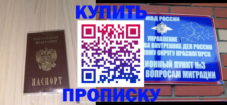 временная регистрация для всех в Звенигово